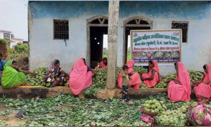 सीताफल उत्पादन एवं प्रसंस्करण से महिला स्व-सहायता समूहों की आर्थिक स्थिति में सुधार