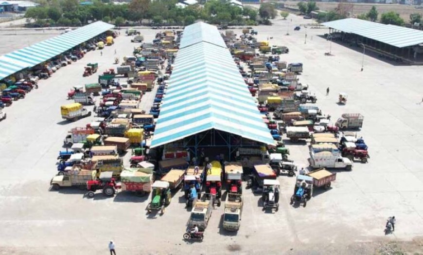 ओमान, यमन, यूएई, कतर, सउदी अरब में मध्यप्रदेश के गेहूँ की बढ़ी साख