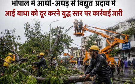 भोपाल में आँधी-अँधड़ से विद्युत प्रदाय में आई बाधा को दूर करने युद्ध स्तर पर कार्रवाई जारी