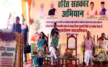 प्रकृति मित्र बनकर धरती माता का आंगन हरा-भरा रखने के लिए लगायें पेड़ : मुख्यमंत्री डॉ. यादव