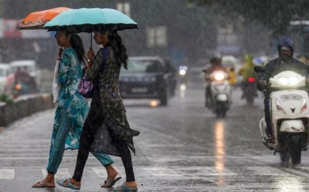 MP Weather Alert: प्री-मानसून एक्टिव, 34 जिलों में आंधी-बारिश का अलर्ट; कई इलाकों में ओलावृष्टि की चेतावनी