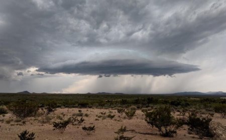 MP Monsoon Update: कब आएगा मानसून? भीषण गर्मी से जूझ रहे जिलों को जल्द राहत, 60 Kmph तूफान का अलर्ट