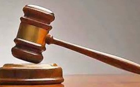 काले हिरण व चिंकारा के शिकार कर अतंर्राज्यीय स्तर पर तस्करी करने वाले आरोपी रिजवान एवं इम्तियाज की जमानत याचिका ख़ारिज