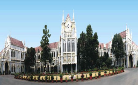 14 लाख सालाना कमाने वाली पत्नी को नहीं मिलेगा मेंटिनेंस, हाईकोर्ट ने सुनाया बड़ा फैसला