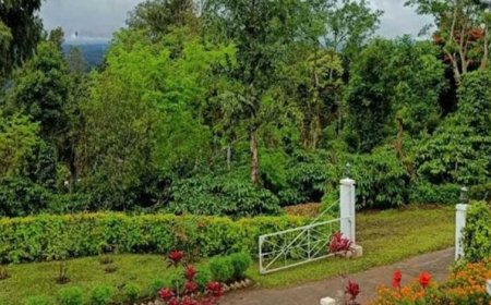 प्राकृतिक सौंदर्य, कॉफी बागानों और जनजातीय संस्कृति की अनूठी पहचान है बैतूल का कुकरू खामला