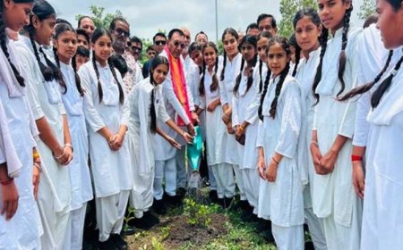 भावी पीढ़ी के लिए हरित मध्यप्रदेश का निर्माण हमारी प्राथमिकता: राज्यमंत्री  पंवार